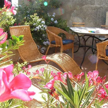 Chateau De Massignan